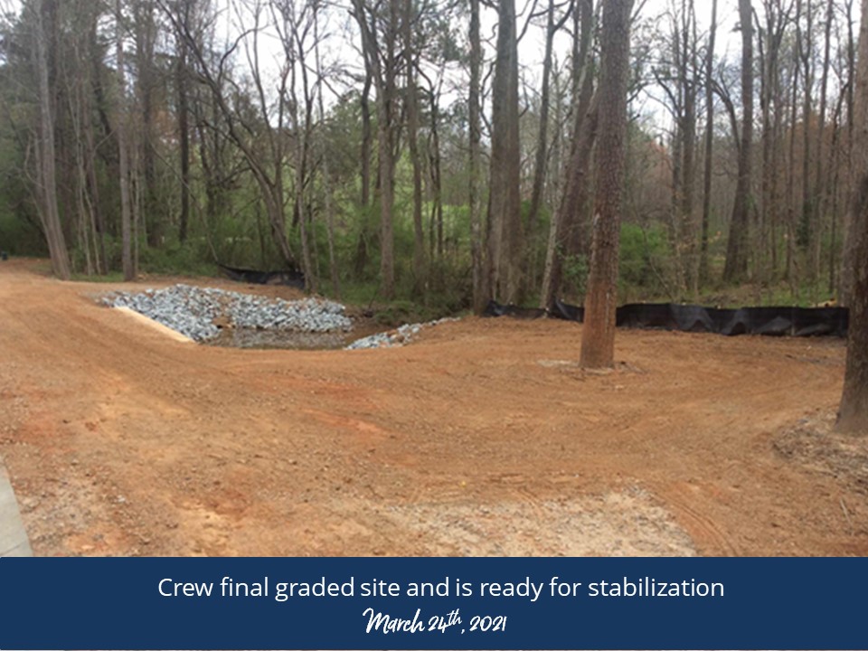 Cows are finalized, graded, and prepared for submission in a farm setting